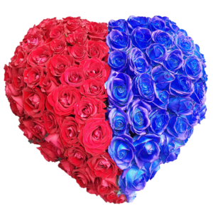 cuore grande di rose rosse e blu cod-0003
