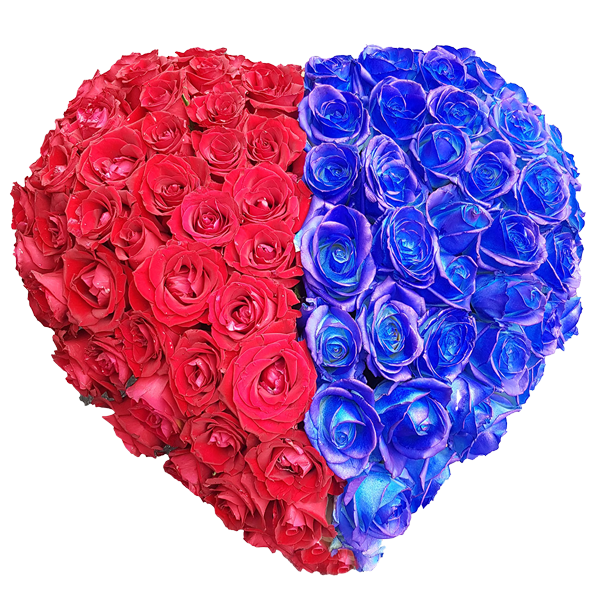 cuore grande di rose rosse e blu cod-0003